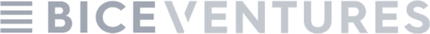 BICE Ventures